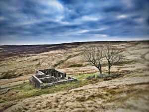 Photograph by David Mullin