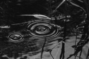 B&W photo of two ripple patterns on the surface of a pond